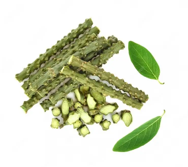 guduchi herb